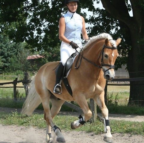 frau-auf-pferd